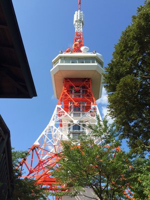 🗼 하치만야마 공원 우쓰노미야 타워